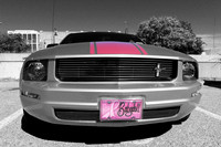 Hutch Rod Run 2014 - CARS!