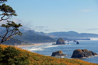 Coastal